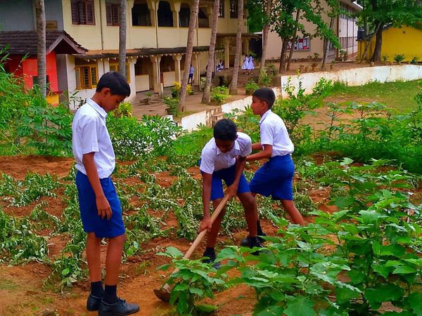 වර්තමාන කෘෂිකර්ම අංශයේ කටයුතු