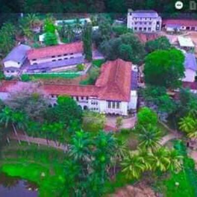 203035916 1171469589985787 8025363504722999929 N