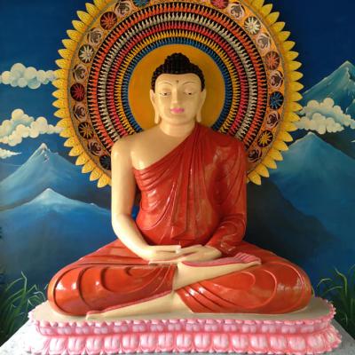 207420252 1171041976695215 5708271082694159282 N