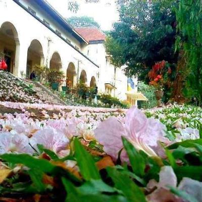 207600282 1171042380028508 5982765845384050151 N