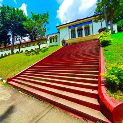 208909615 1171041040028642 549640596806385598 N