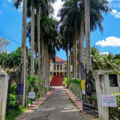 209655741 1171040920028654 8995436276932142239 N