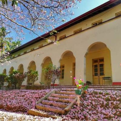 පාසල් ඡායාරූප