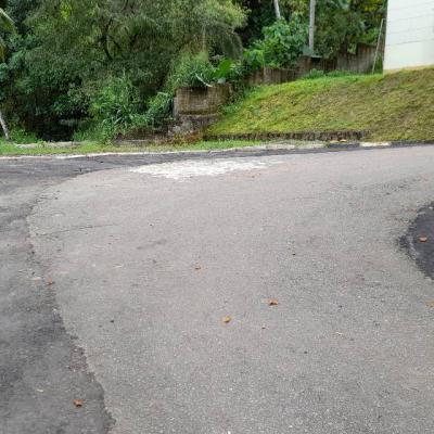 239913303 1233477030451709 6250436627810149928 N