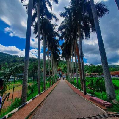 240529100 1233476560451756 5113375384614918005 N