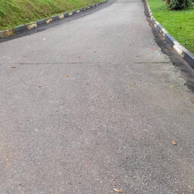 240598625 1233477263785019 7130240400747157482 N