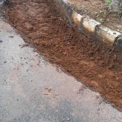 241191644 1233476847118394 7861004570619771220 N