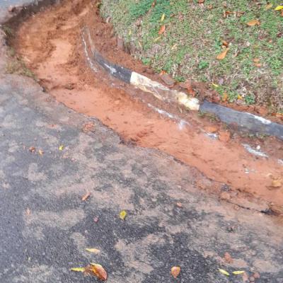 241302715 1233476597118419 4301438675370492281 N