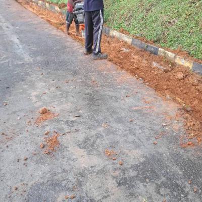 මාර්ග කාපට් ව්‍යාපෘතිය