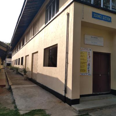 253111815 1251816758617736 2580557959605547117 N