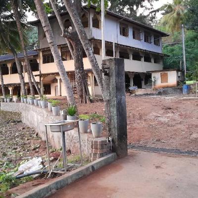 246903565 1244736872659058 7199792528620210914 N