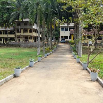 247448341 1244725052660240 5381705905220573367 N