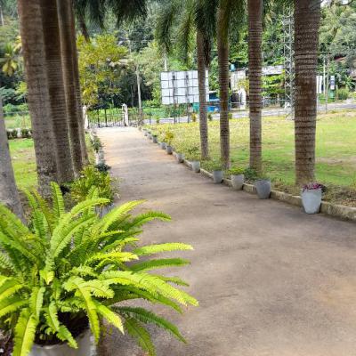 248751920 1244724985993580 5722325756153240759 N