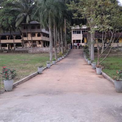 ප්‍රාථමික  අංශය