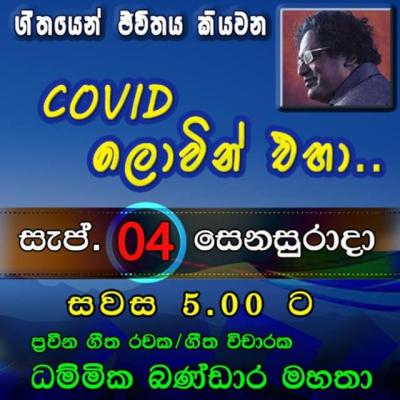 240974210 1211505082648904 7524055085152305304 N