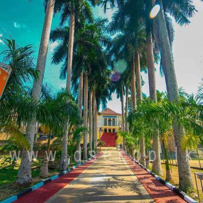 273205120 1307711169694961 1504528577074234249 N