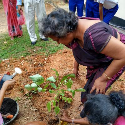 281370877 1377318952734182 5667915450917838179 N