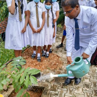 281448219 1377318429400901 6740610133185762741 N