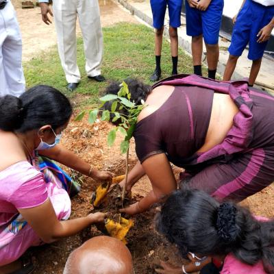 281584438 1377318849400859 1131108536793600181 N