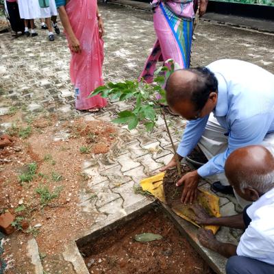 281995211 1377318556067555 7318307045639166843 N