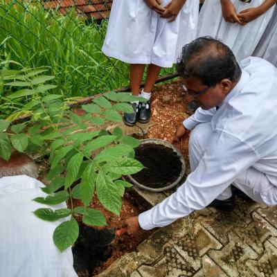 පැල සිටුවීම  2022