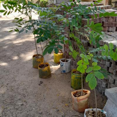 273037690 1306374243161987 1988398770407721087 N